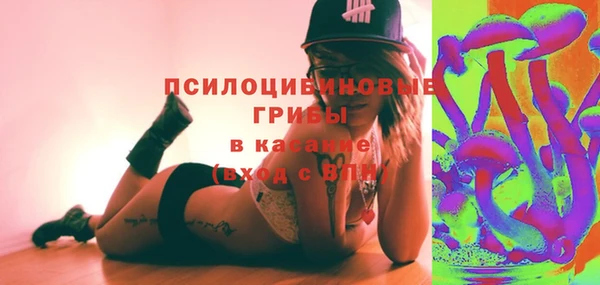 PSILOCYBIN Горно-Алтайск