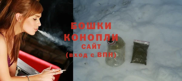 PSILOCYBIN Горно-Алтайск
