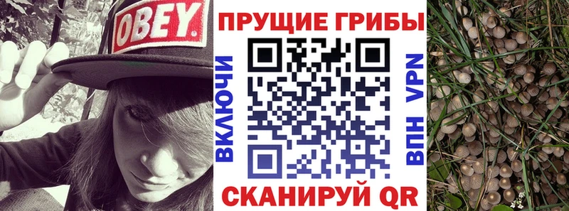 Галлюциногенные грибы ЛСД  Купить  Ковылкино 